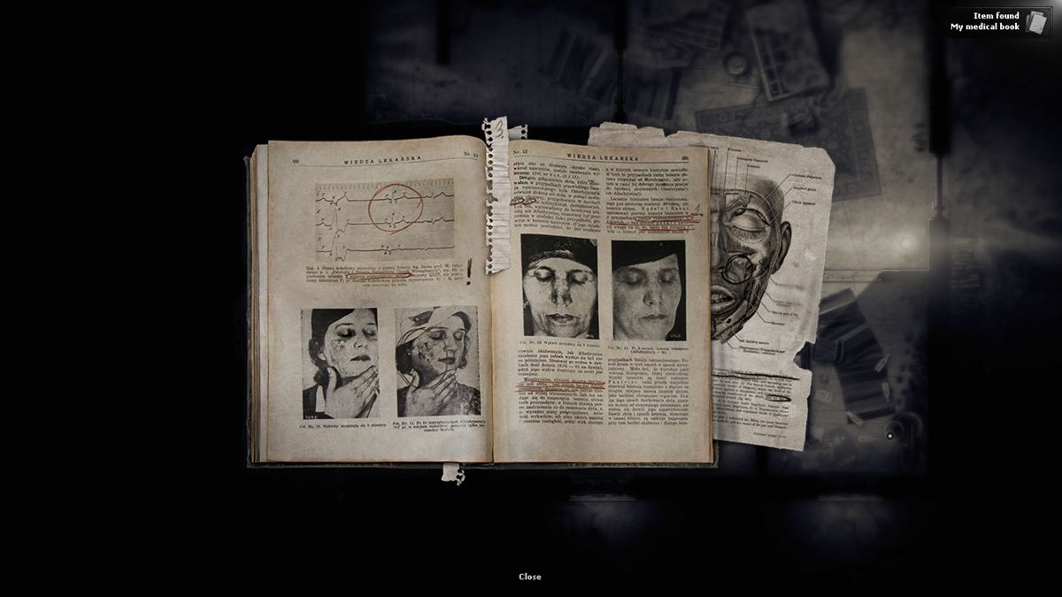 Darkwood screenshot 2 for Playstation 4